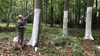 PM Halbjahresprogramm_Skulpturen im Wald